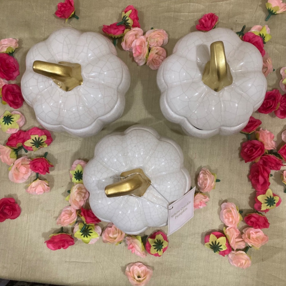 White Crackle Ceramic Pumpkins, set of 3! - Picture 3 of 10